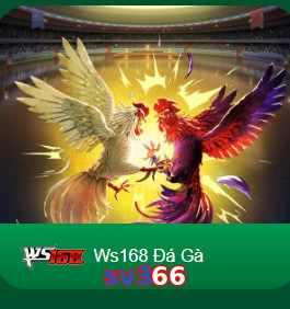 sv366